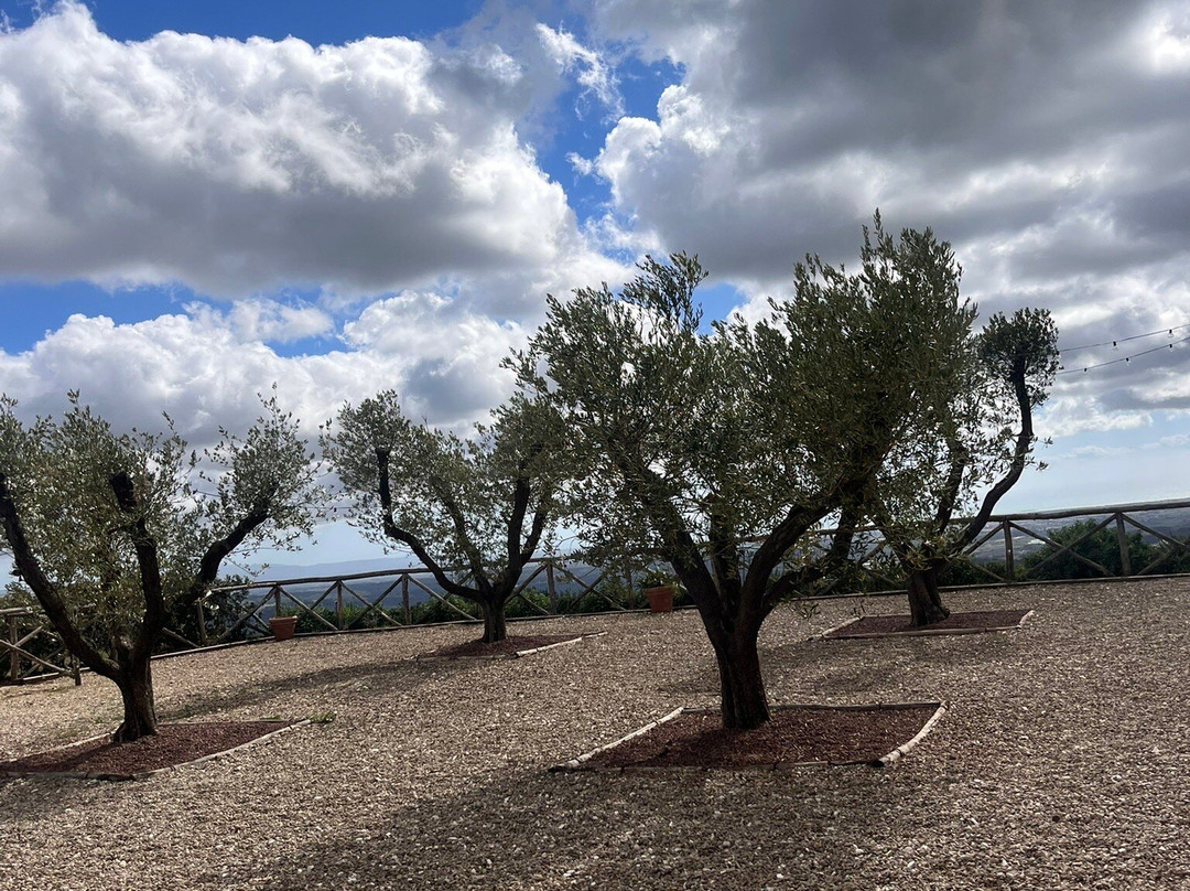 Tenuta Prima Pietra-Riparbella必去景点