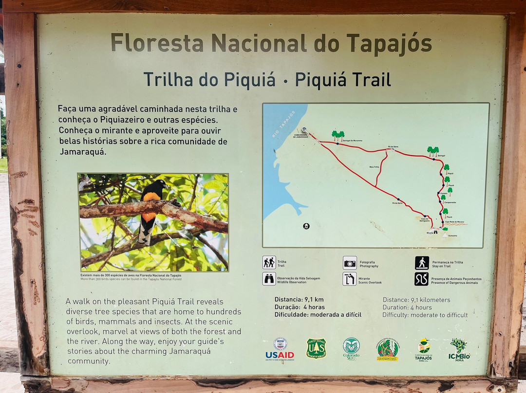 Floresta Nacional de Tapajos