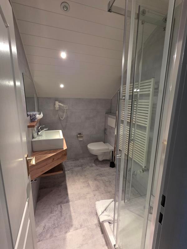 Landhotel Niederthaeler Hof-浴室