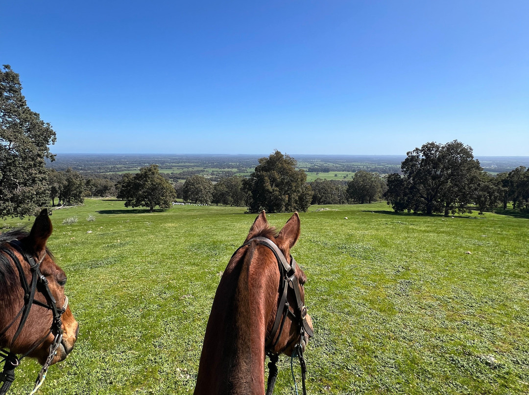 Jarrahdale Equestrian Centre-Jarrahdale必去景点