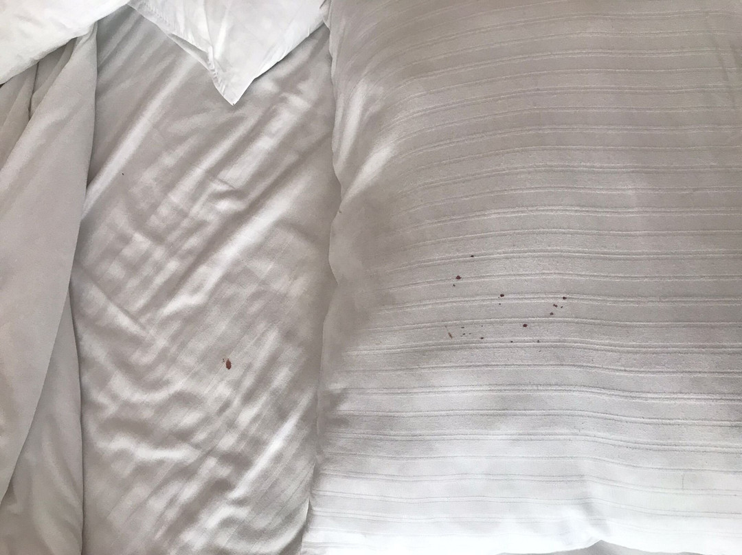 Griff Hotel主图
