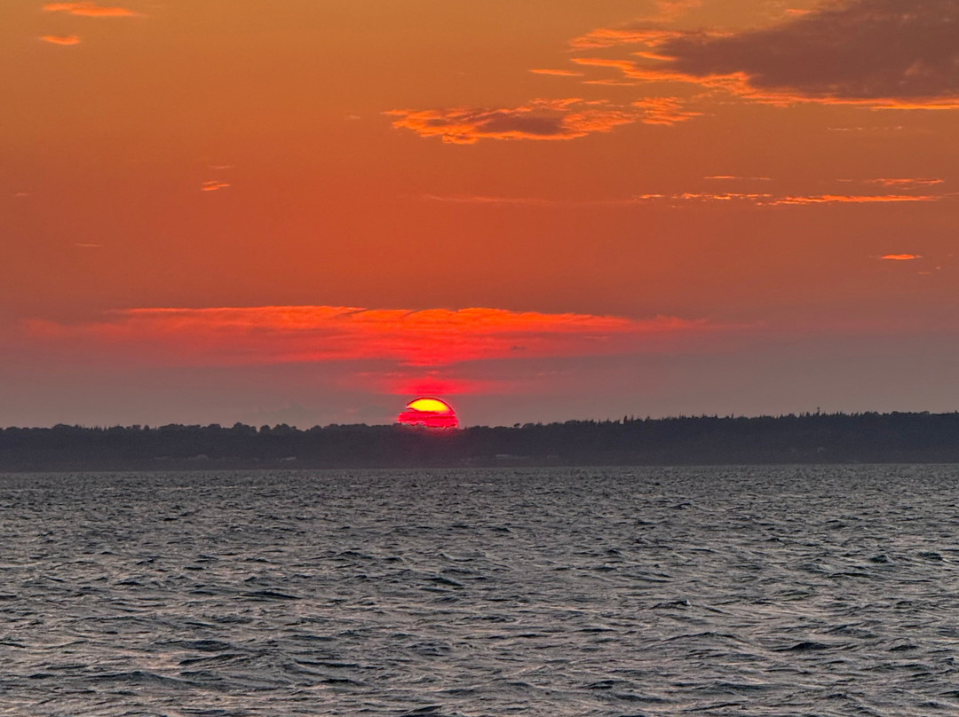 Gato Verde Adventure Sailing-贝灵厄姆必去景点