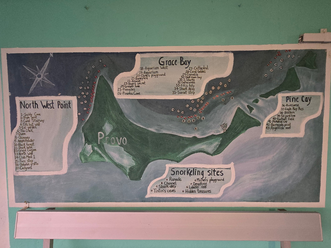 Seafari Turkoise - Dive Center-普罗维登西亚莱斯必去景点