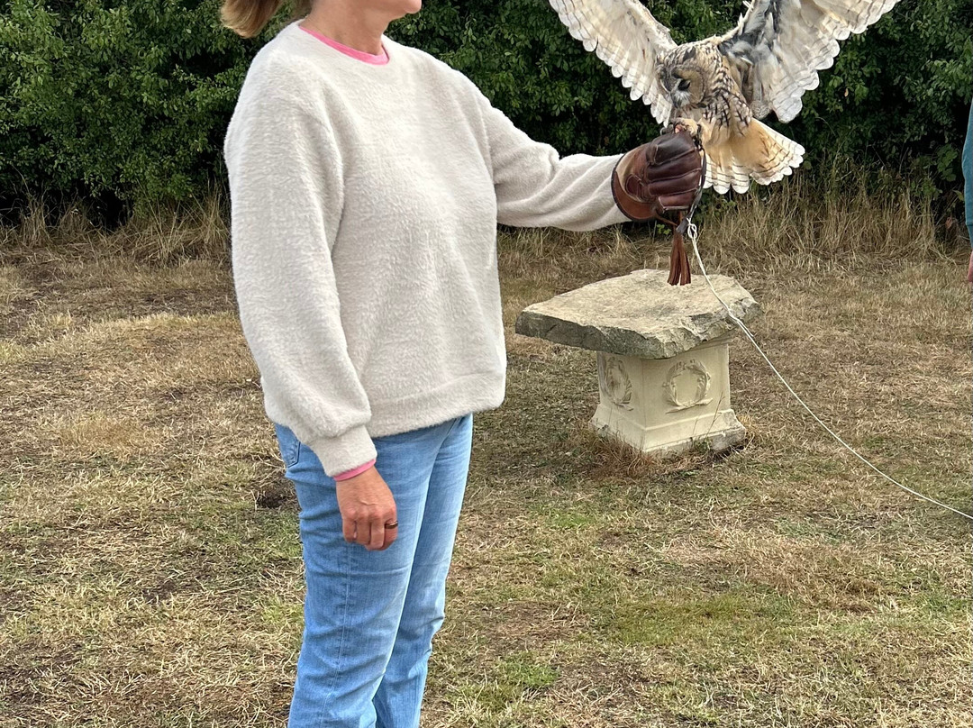 Feathers and Fur Falconry Centre-布拉克内尔必去景点
