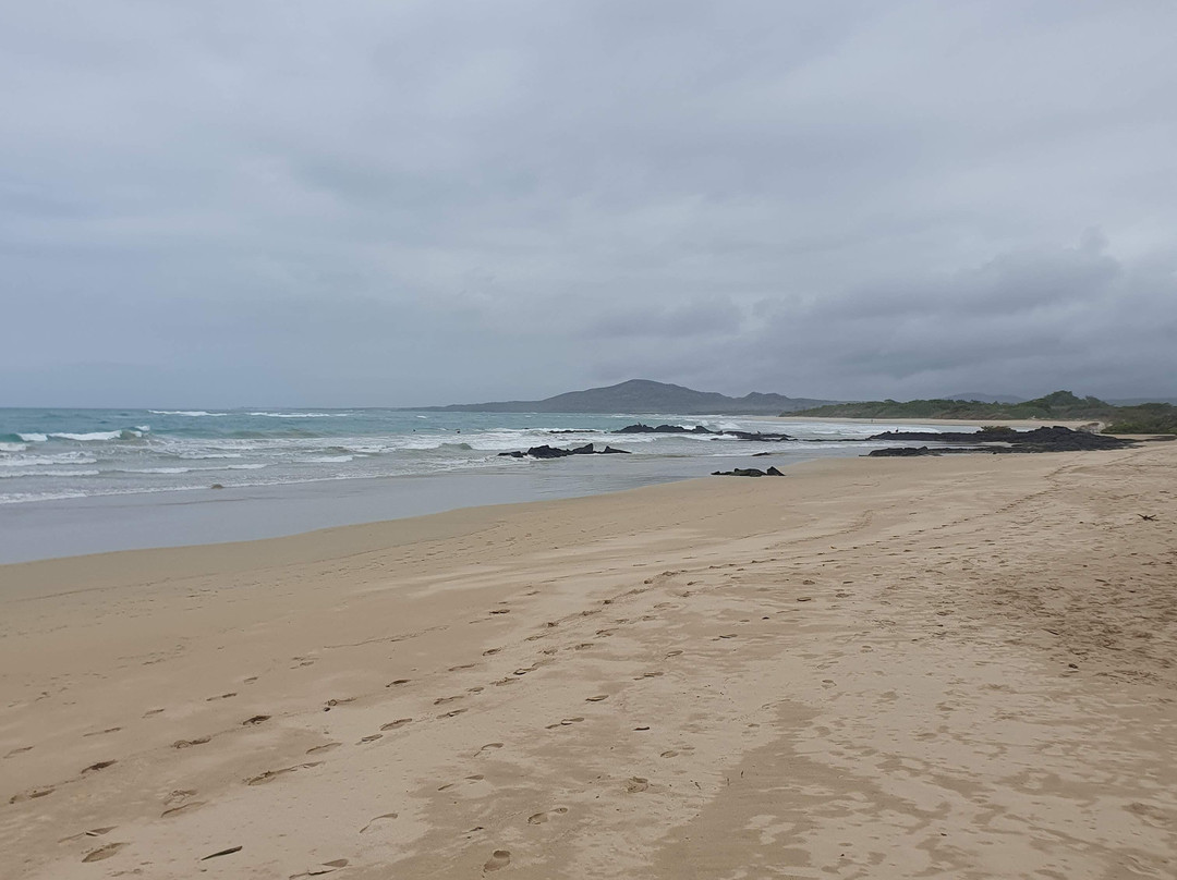 Playa Puerto Villamil-维里亚米尔港必去景点