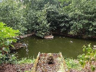 Mata Nacional do Bucaco-卢祖必去景点