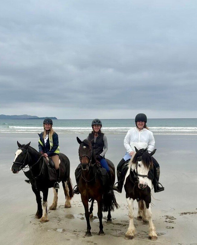 Drummindoo Stud-韦斯特波特必去景点