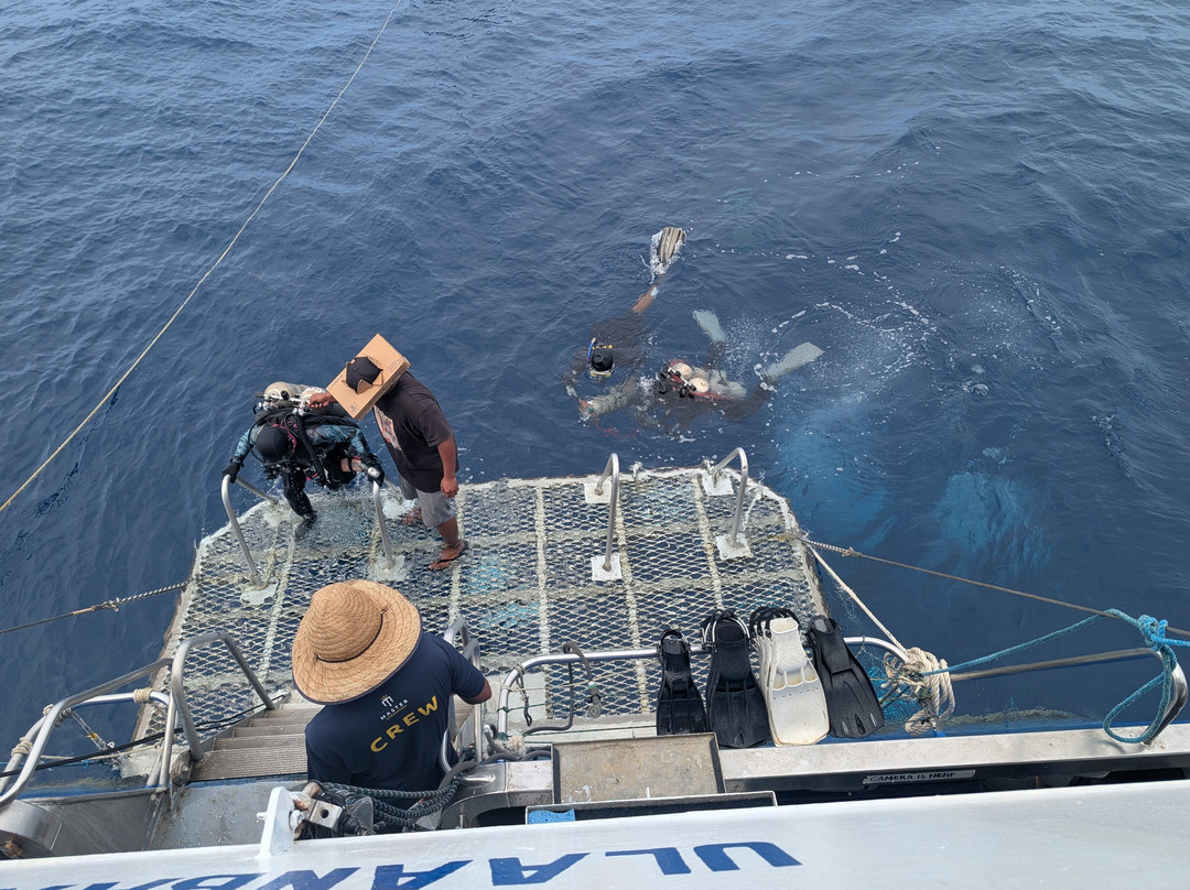 Pacific Master - Master Liveaboards-Chuuk必去景点