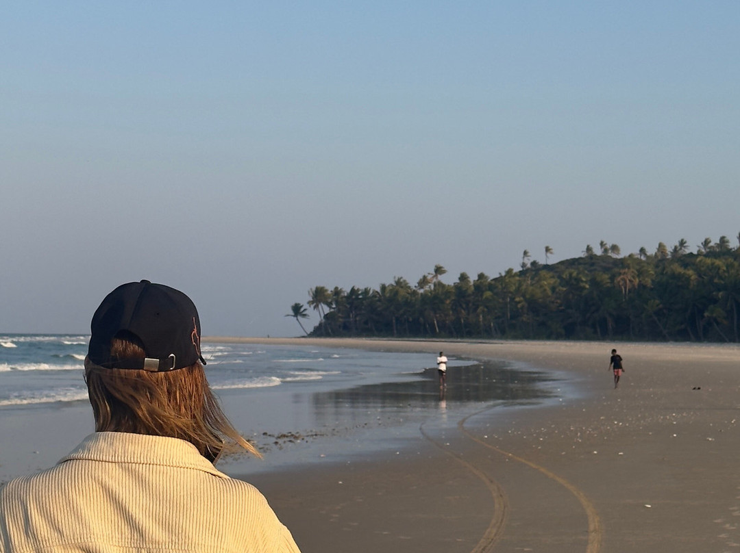 SAFARI, DRIVE & DIVE TOURS-Inhambane必去景点