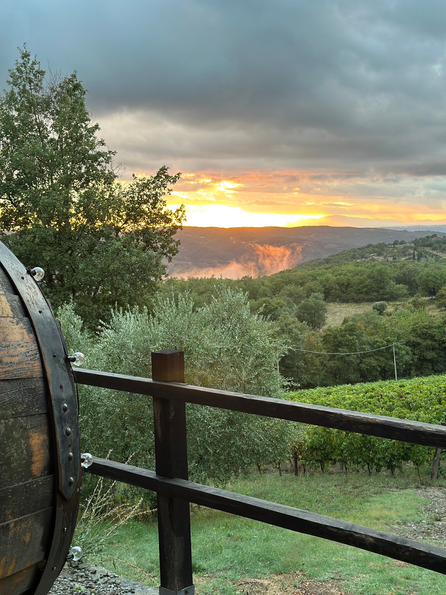 勒赛迪内乐酒店-官方