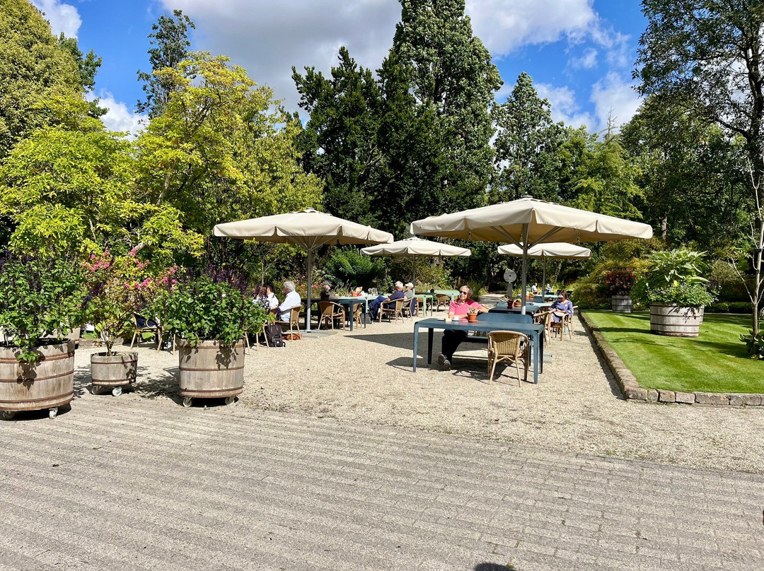 Trompenburg Tuinen En Arboretum-鹿特丹必去景点