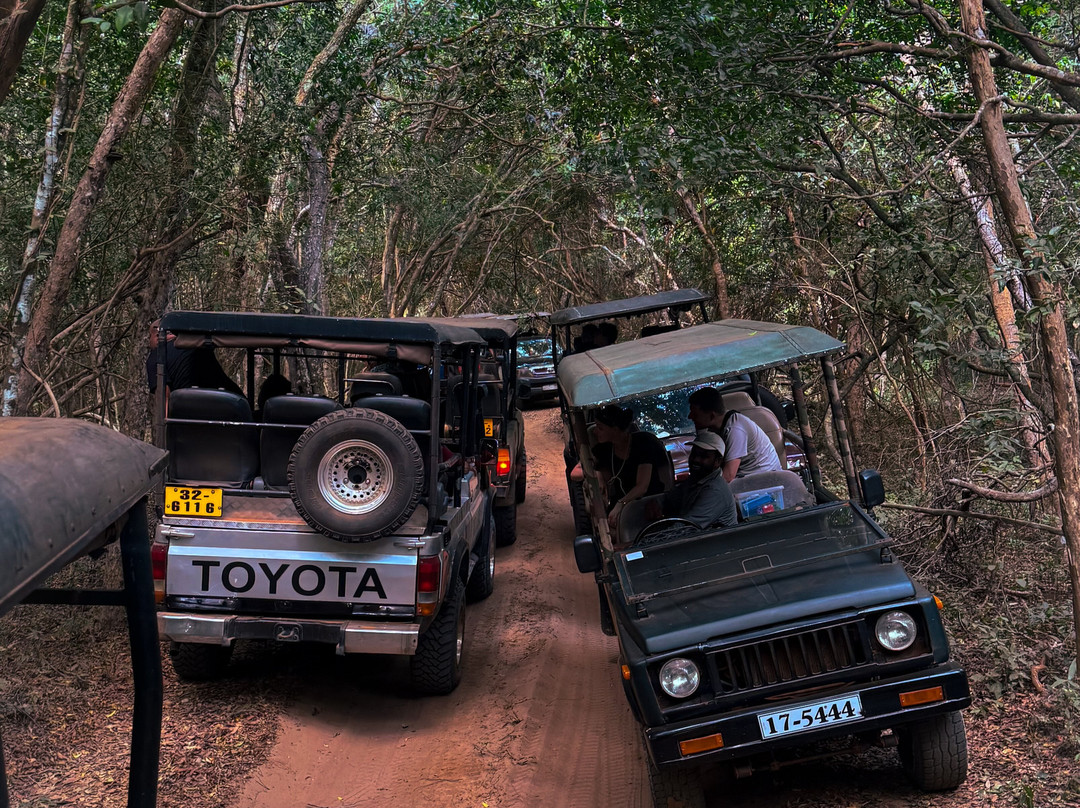 Wilpattu Safari Jeep-Wilpattu National Park必去景点