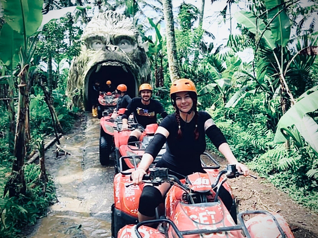 Gorilla Adventures Bali