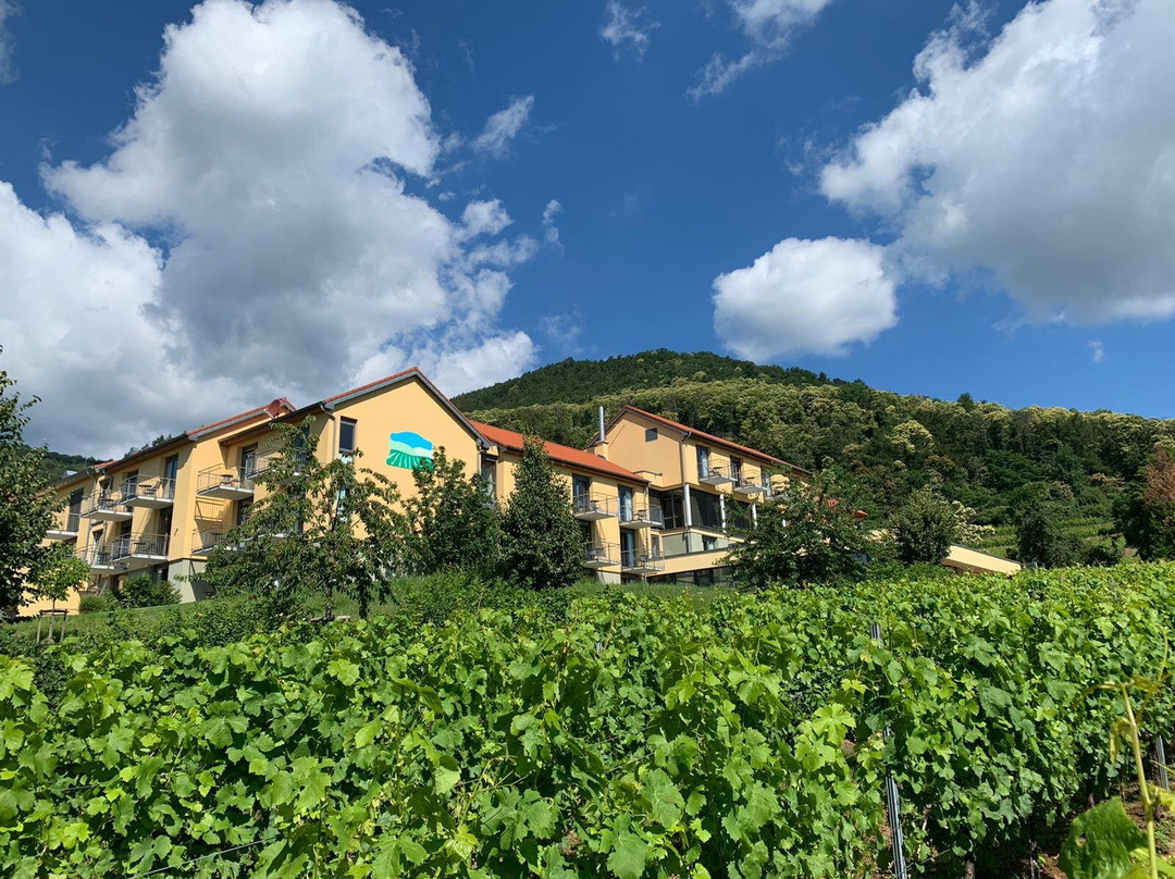 Weyher in der Pfalz酒店住宿-Wohlfuhlhotel Alte Rebschule