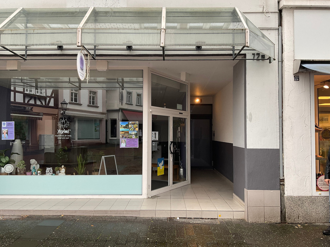 Schöne Apartments in Bad Honnef I home2share