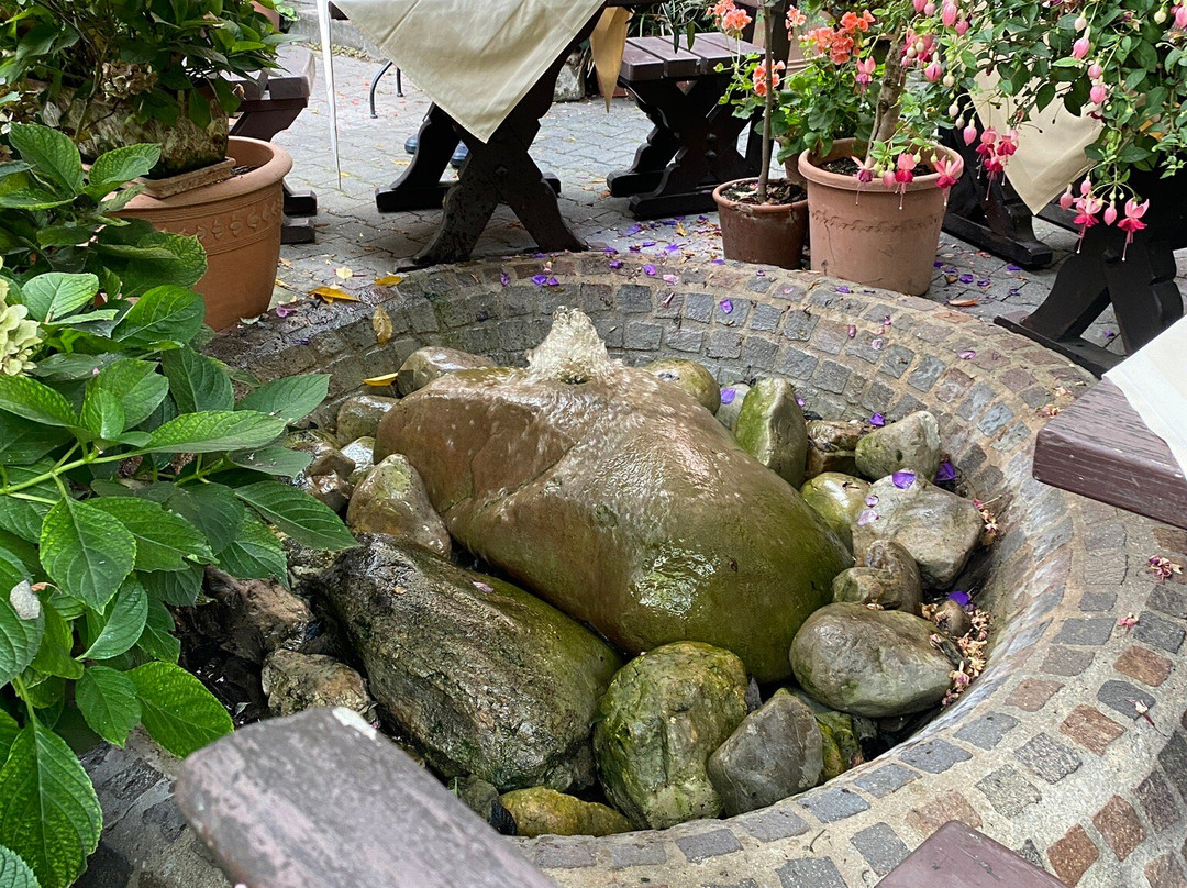 Landhotel & Gasthaus Polster主图