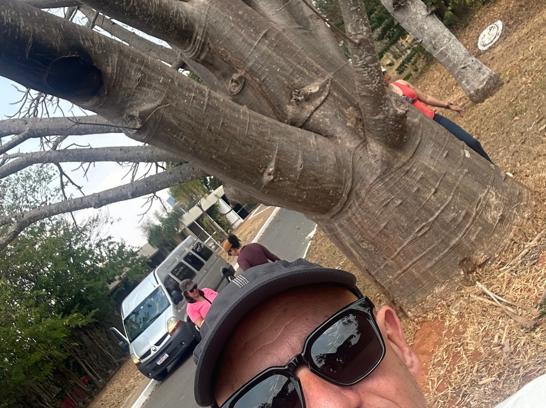 Me Leva Cerrado-巴西利亚必去景点