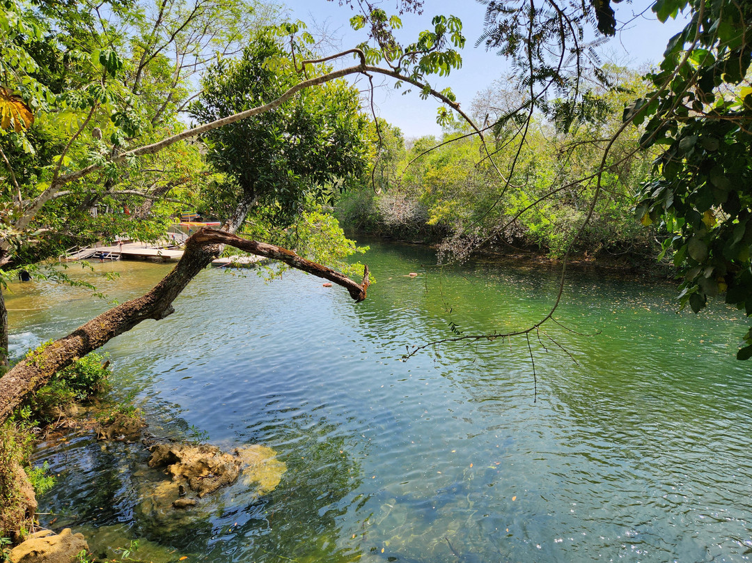 Eco Park Porto Da Ilha-博尼图必去景点