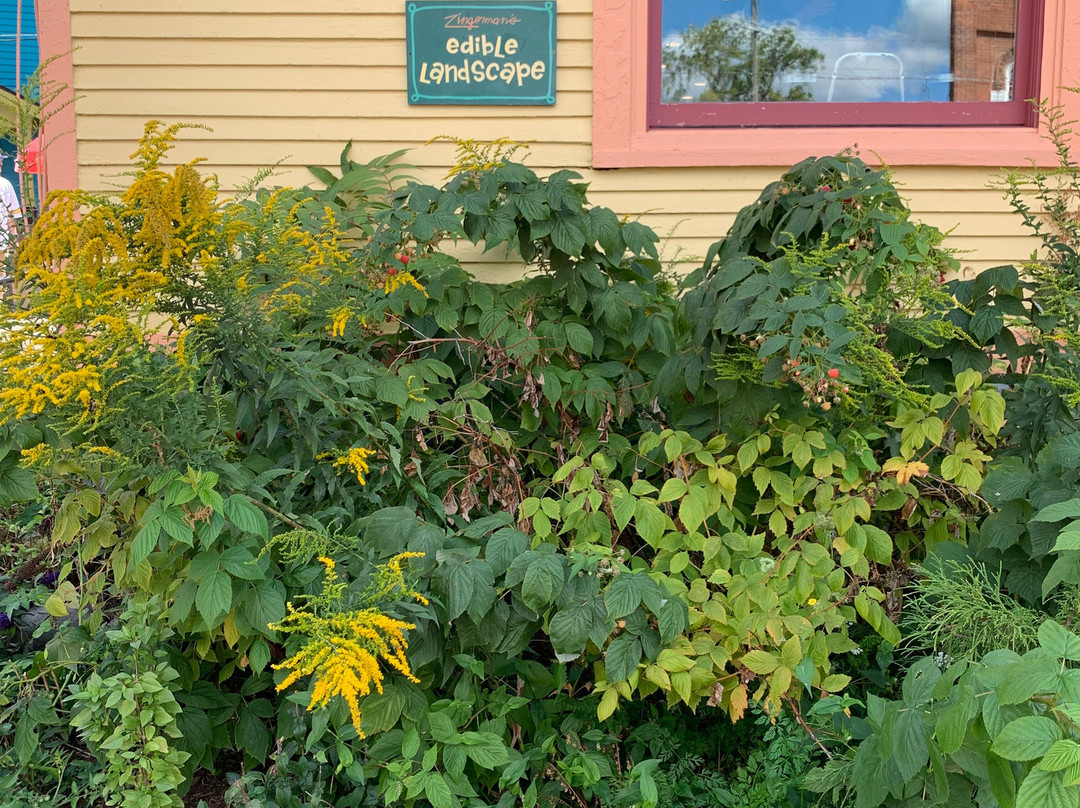 主街-安娜堡必去景点