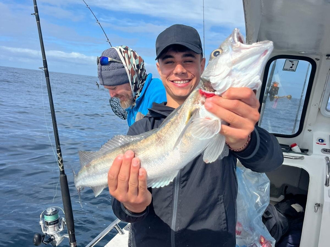 Delarey Charters-圣法兰西斯港必去景点