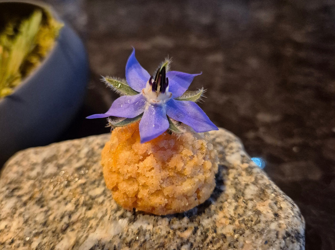 高级花园客栈主图