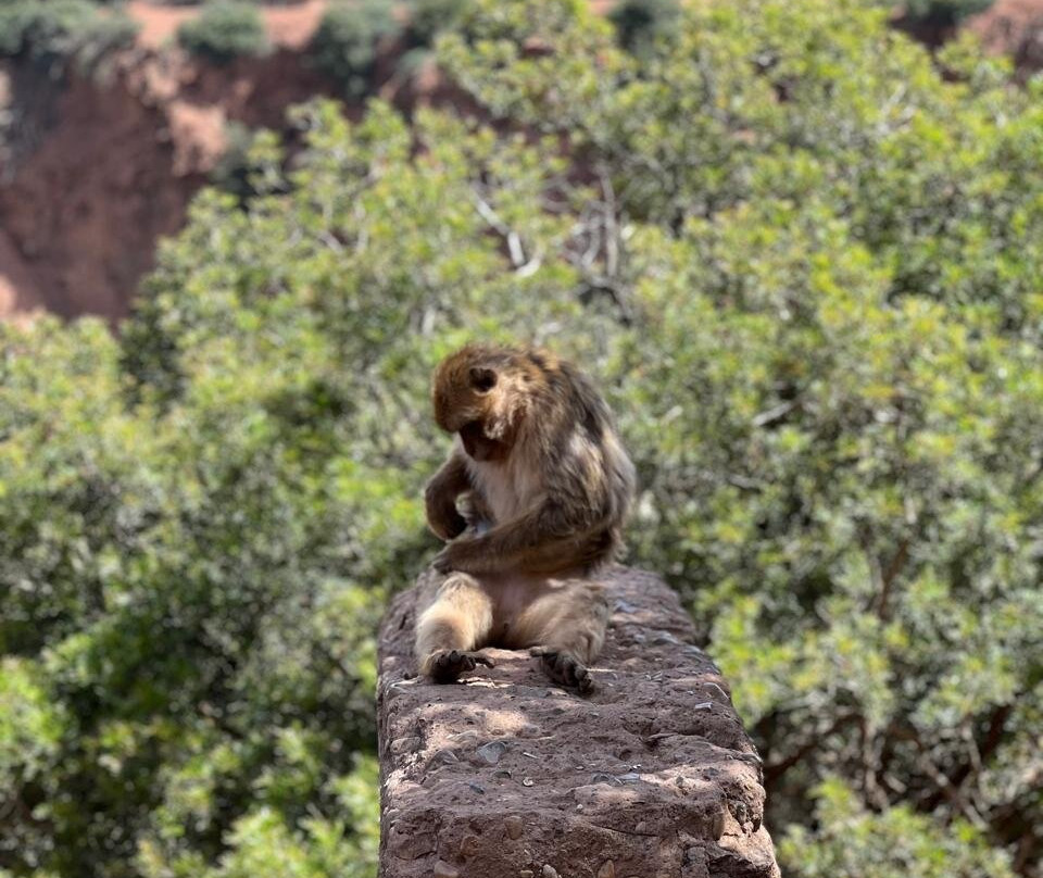 atlas trek experience-伊姆利勒必去景点