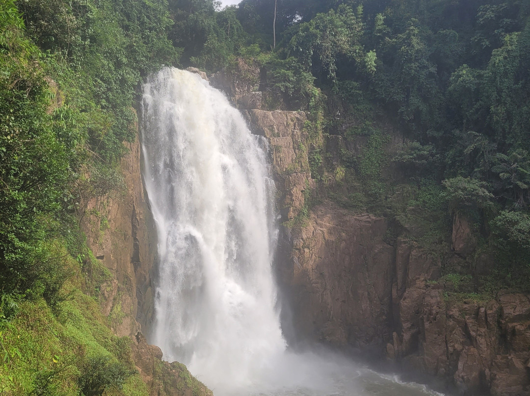 Khoa Yai and Beyond-考艾国家公园必去景点