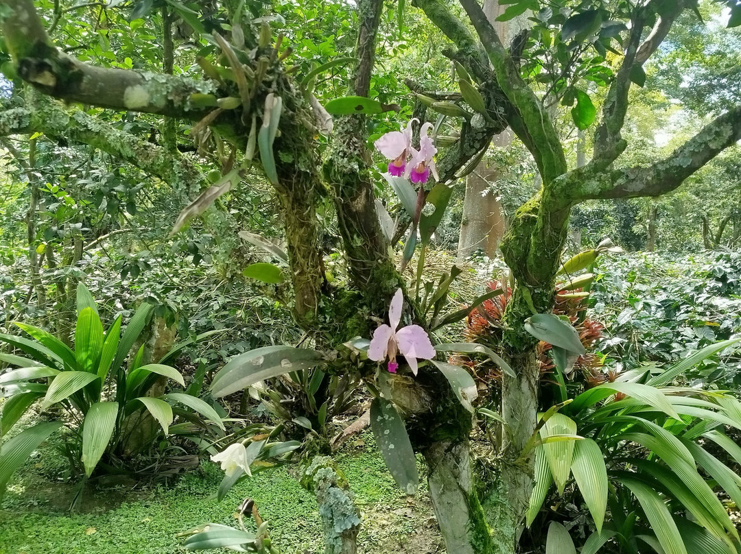 Hacienda Coloma-Fusagasuga必去景点