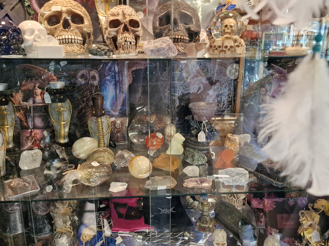 The Raven & Broomstick-莱顿巴扎德必去景点