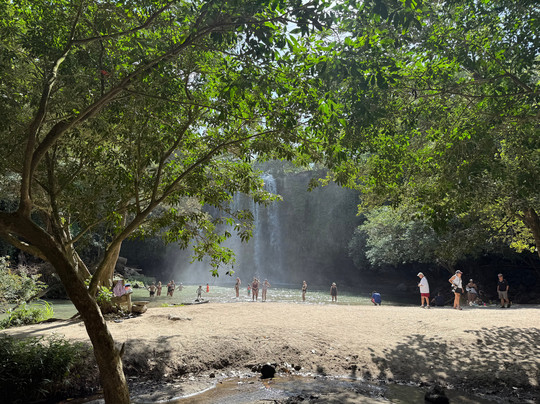 Tropico Local Tours-塔马林多必去景点