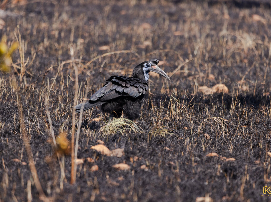 Maze National Park-Southern Nations, Nationalities, and People's Region必去景点