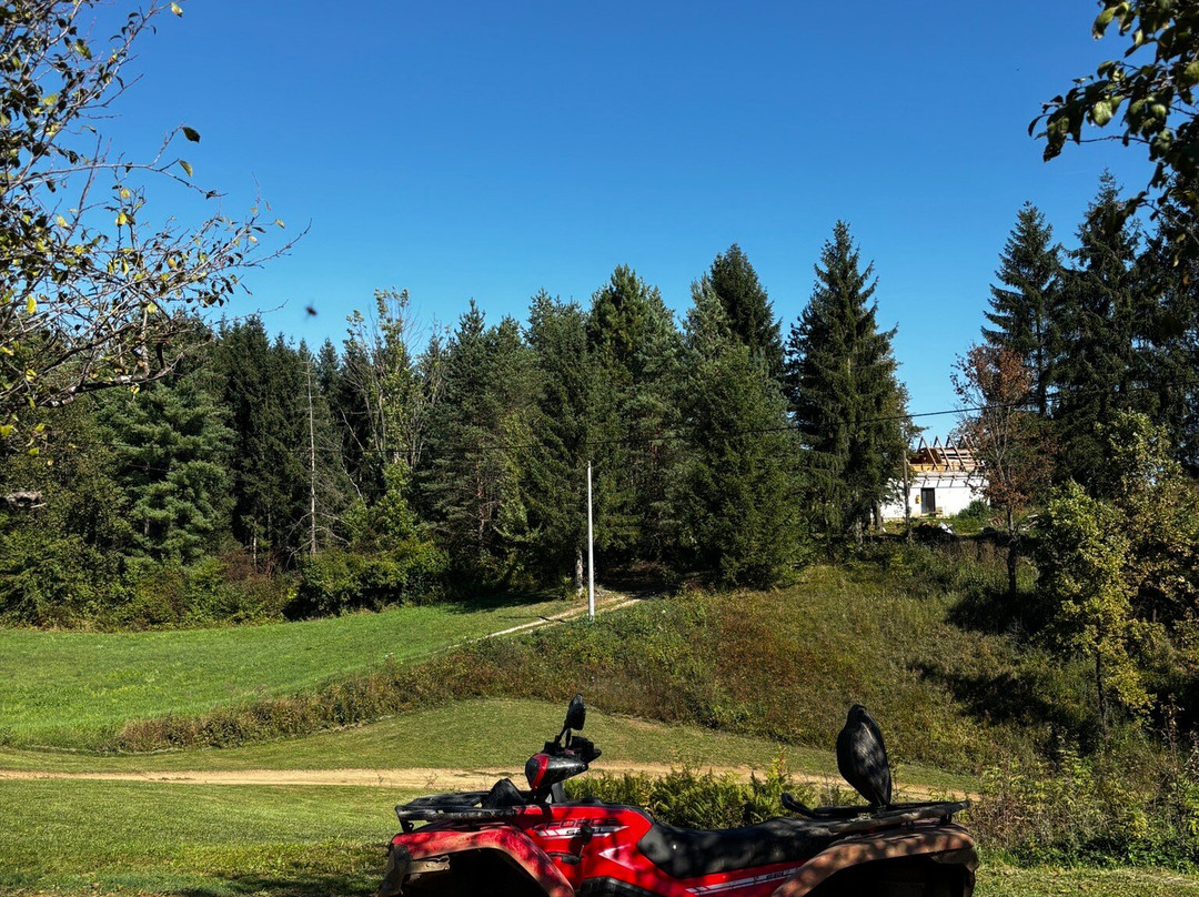 Quad&Buggy Plitvice-拉克维卡必去景点