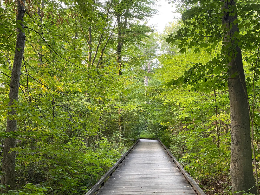 Inniswood Metro Gardens-韦斯特维尔必去景点