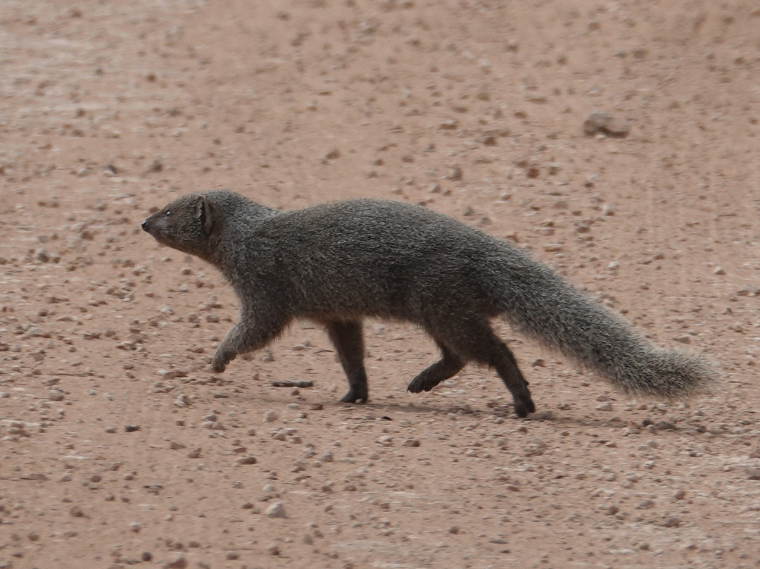 Afroventures Tours & Safaris-伊丽莎白港必去景点