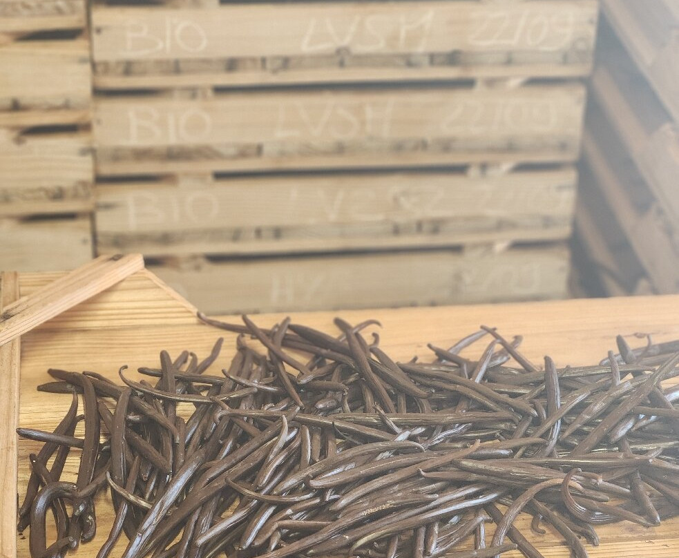 La Vanilleraie Domaine Du Grand Hazier-Sainte-Suzanne必去景点