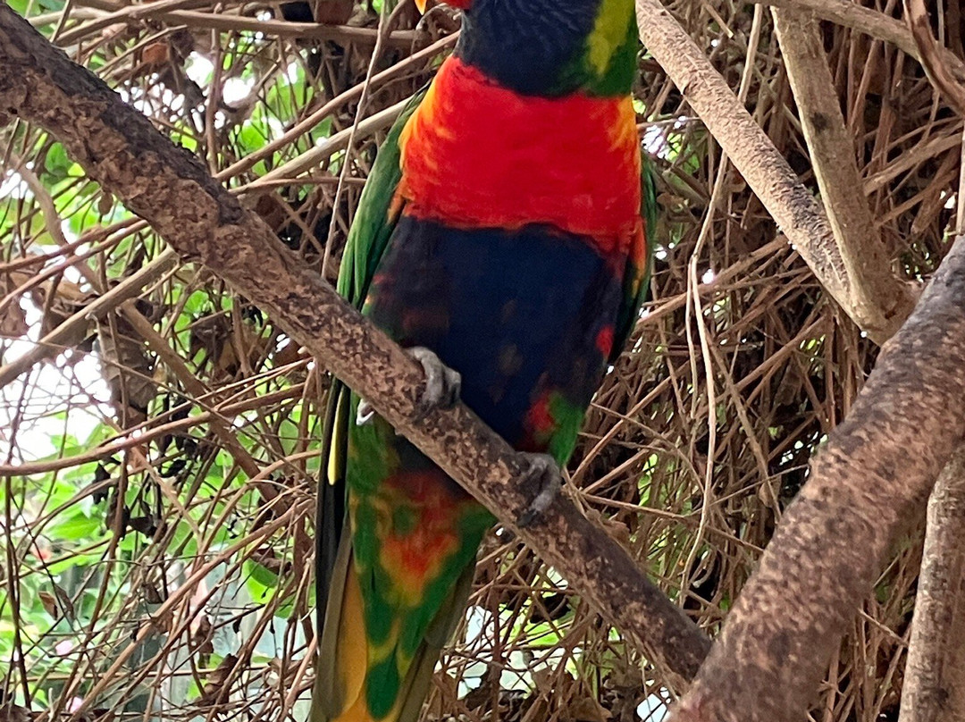 Call Of The Wild Zoo-South Woodham Ferrers必去景点