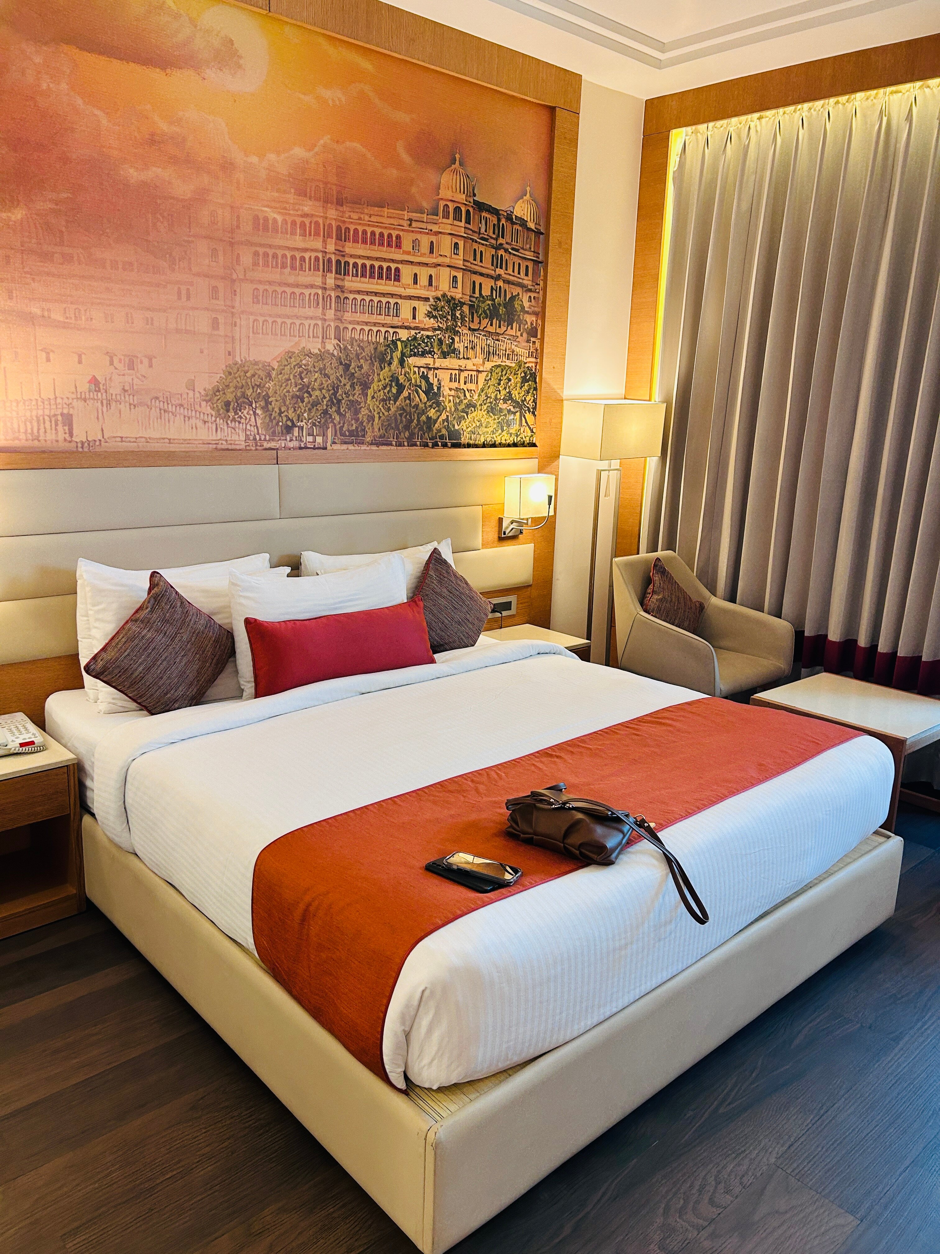 Regenta Central Udaipur-客卧