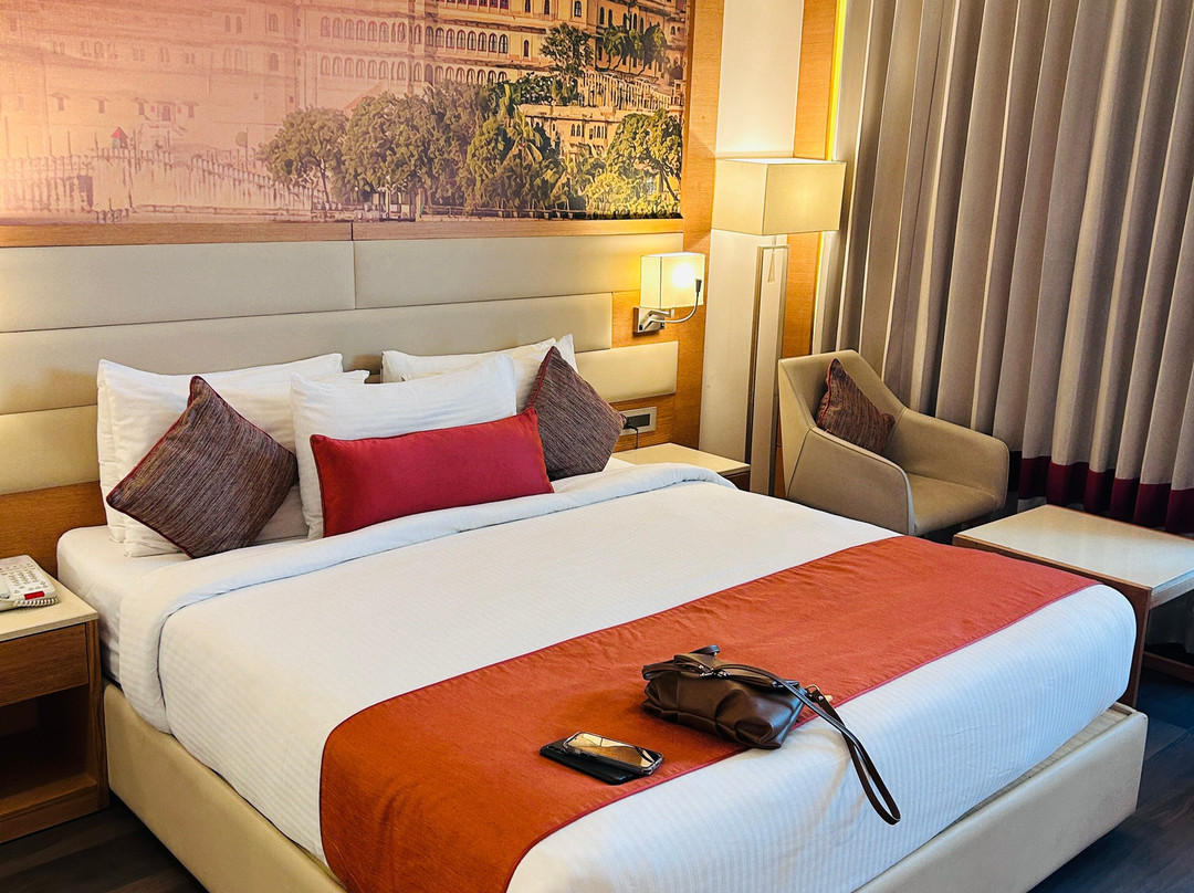 Regenta Central Udaipur主图