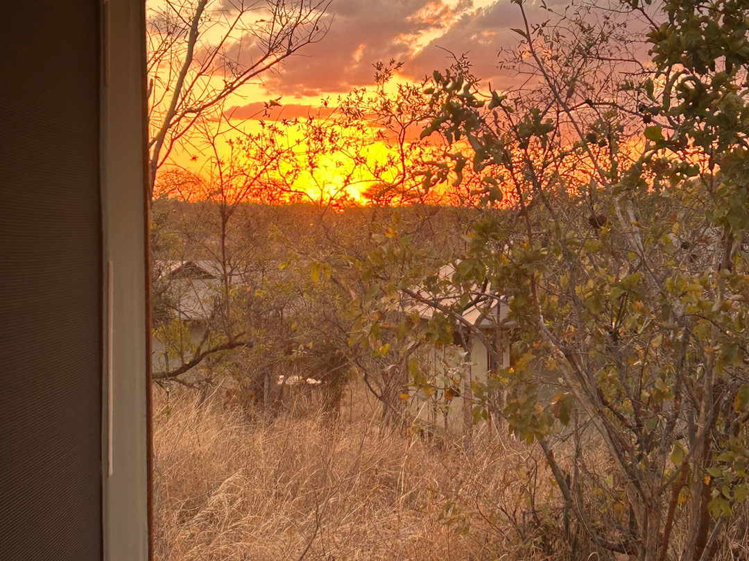 Tarangire Classic View Camp-Ikoma必去景点