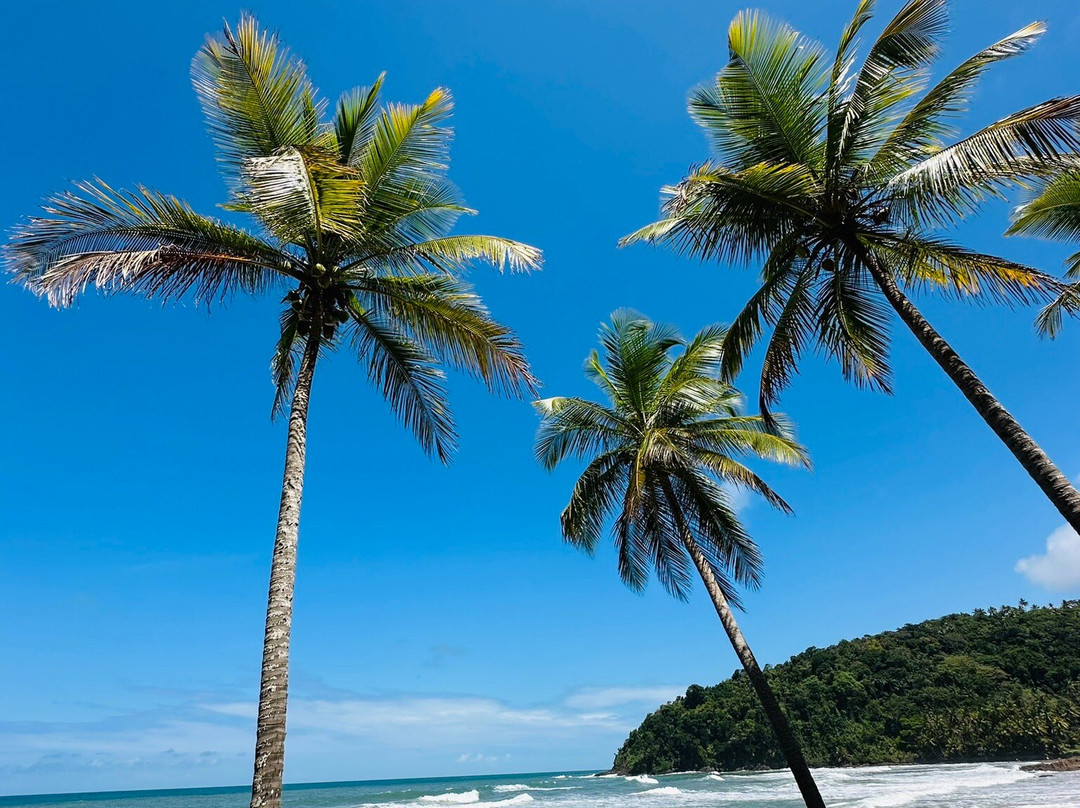 Jeribucacu Beach-Itacare必去景点