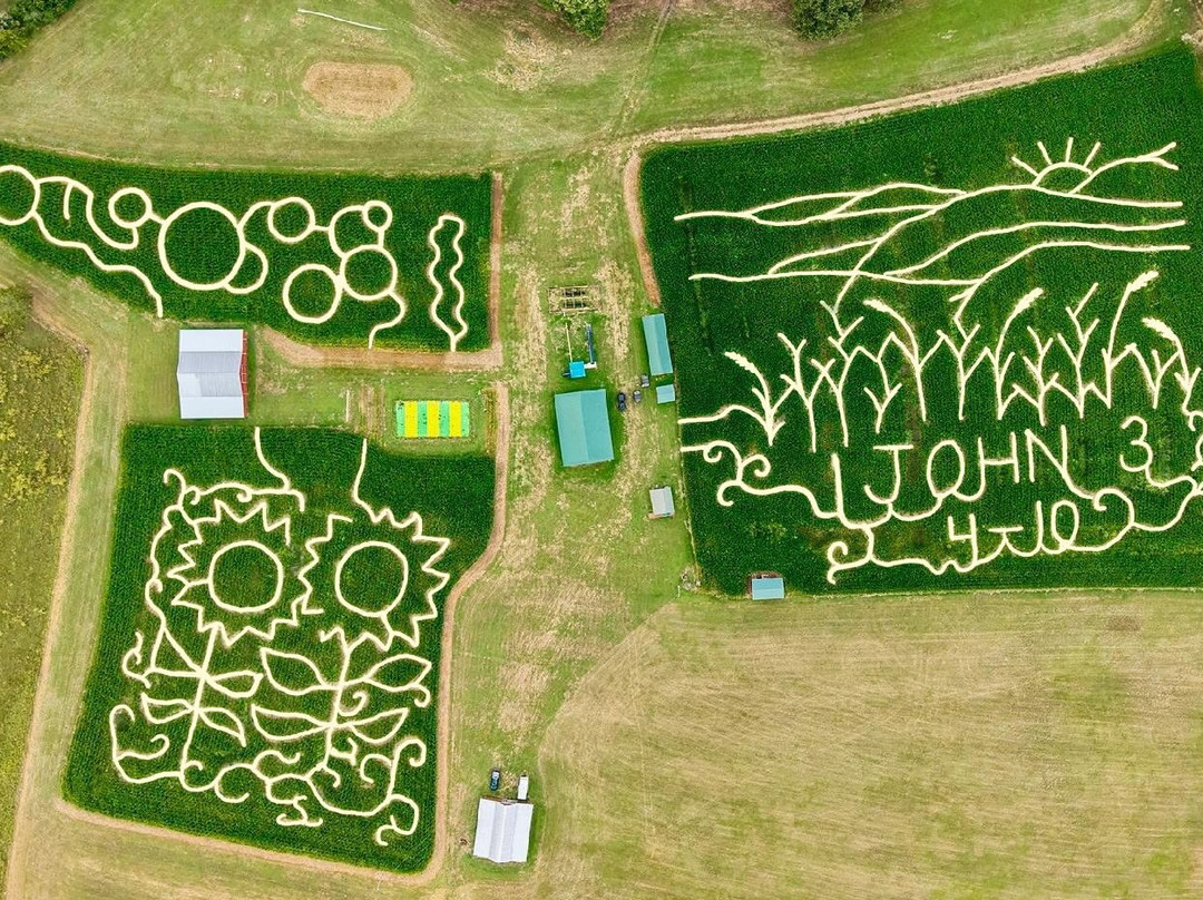 Kyker Farms Corn Maze-塞维尔维尔必去景点