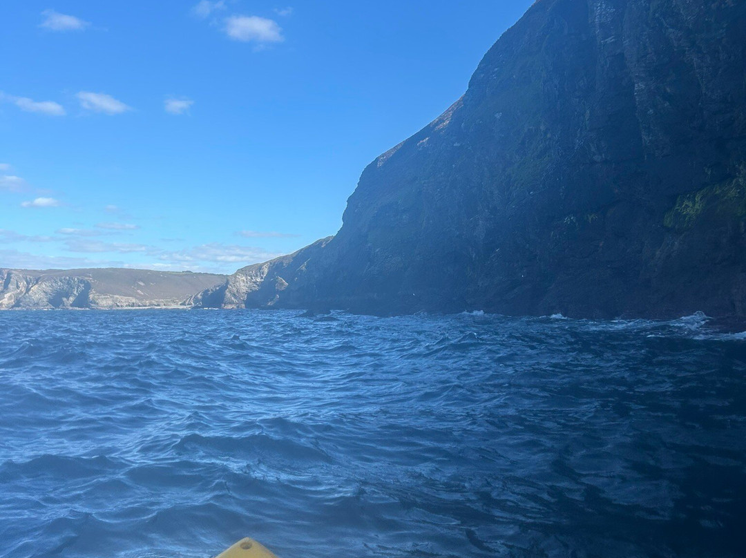 Koru Kayaking-St Agnes必去景点