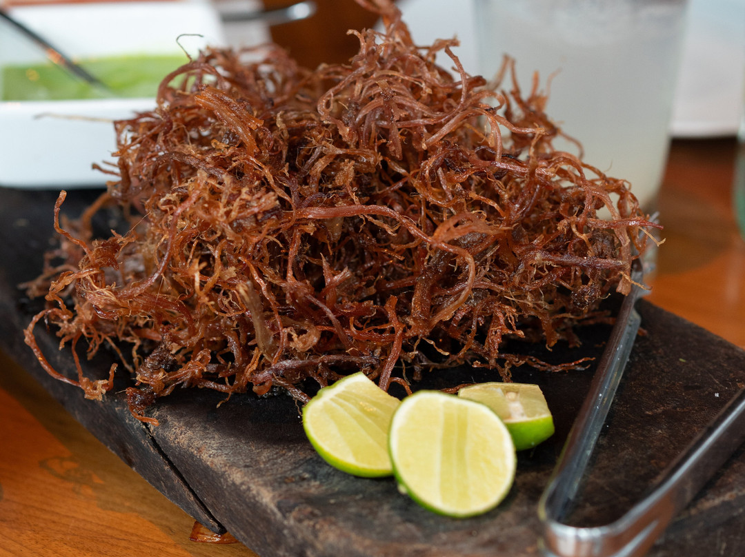 Mochomos Puebla