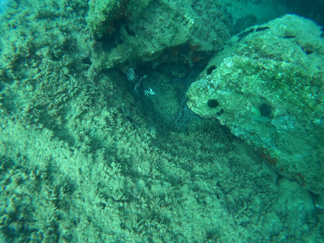 Active Blue Diving Center-库萨达斯必去景点