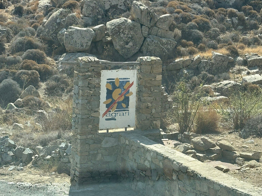 Agrari Beach-米科诺斯必去景点