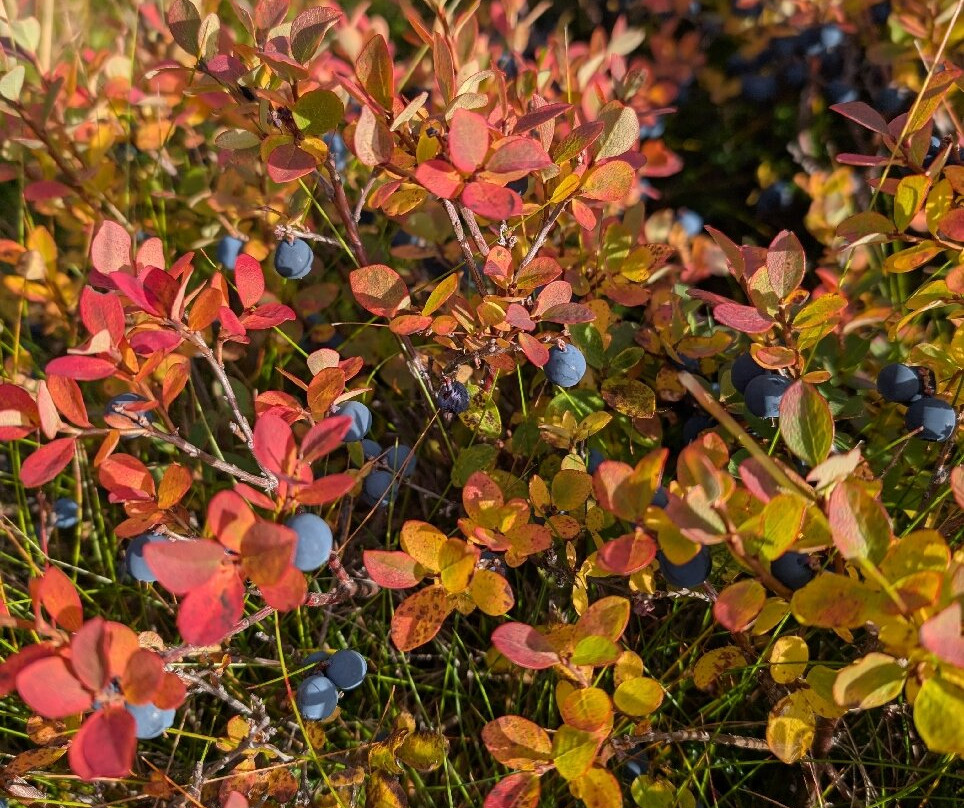 Storestølen Fjellhotell主图