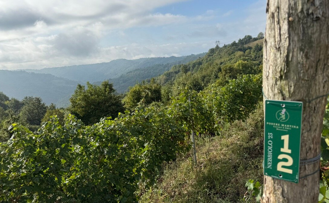 Podere Martina-Murazzano必去景点