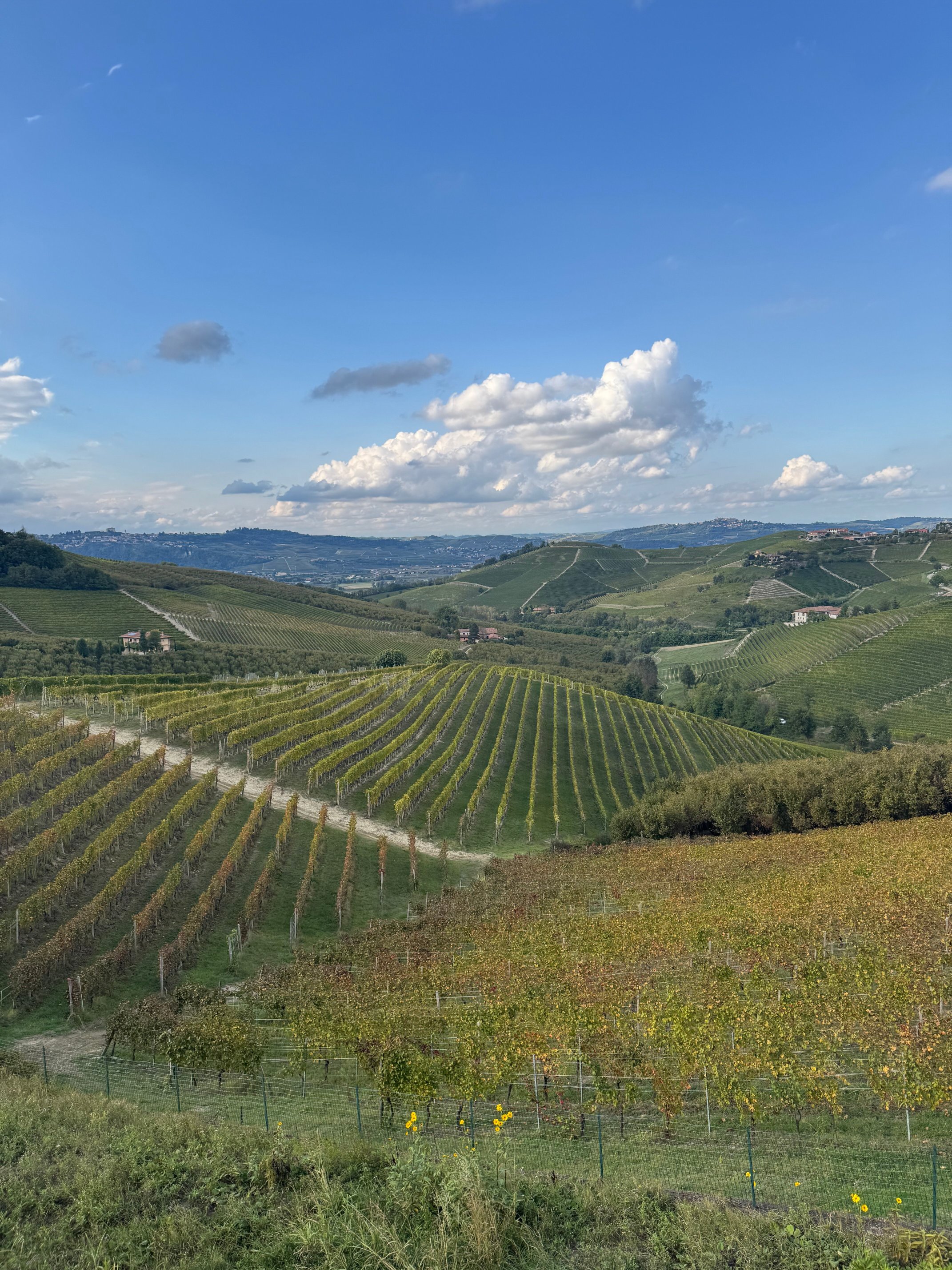 卡萨尼可里尼酒店-酒店景观