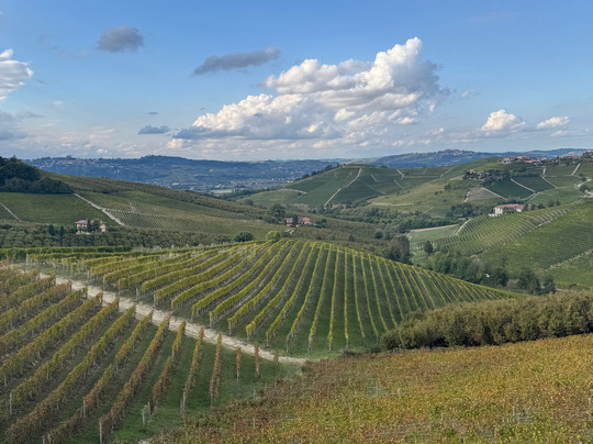 卡萨尼可里尼酒店主图