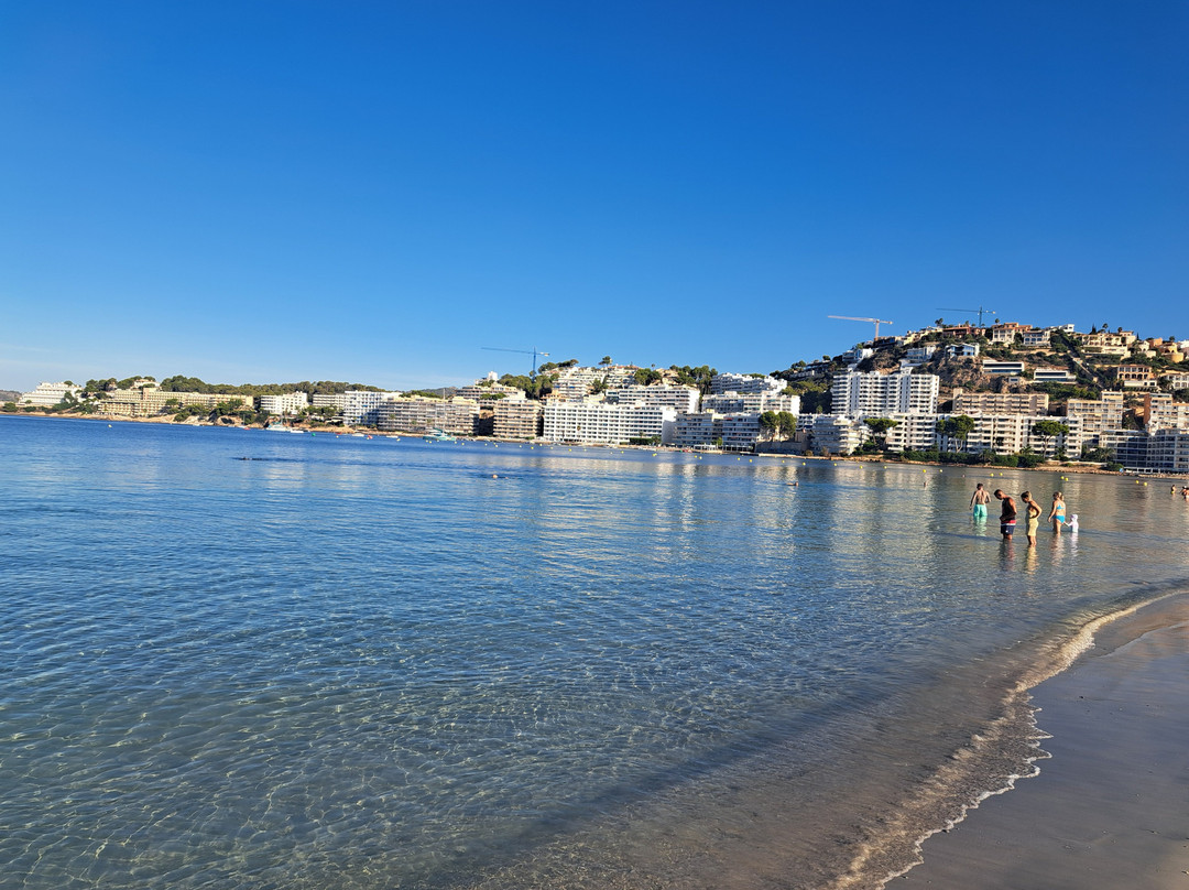 Bahia del Sol Hotel主图